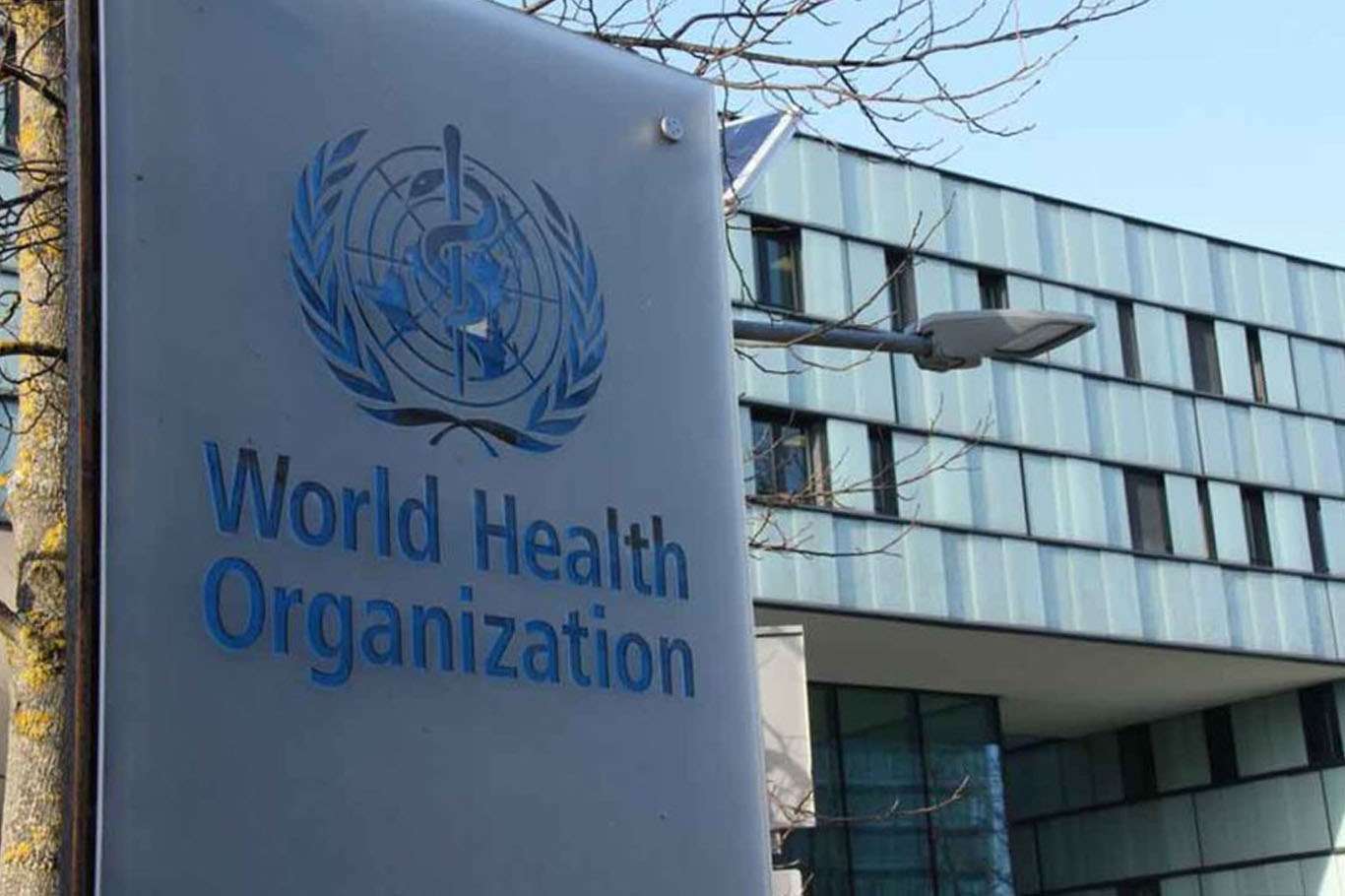Dünya Sağlık Örgütü Gine’ye ebola aşısı gönderecek